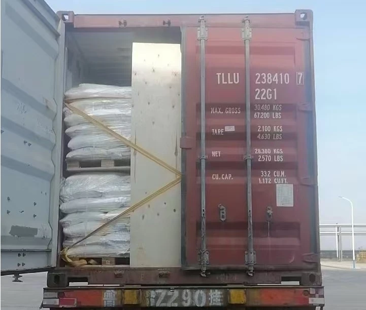 20250109120246